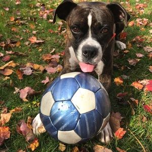 Meet your Posher, Alison